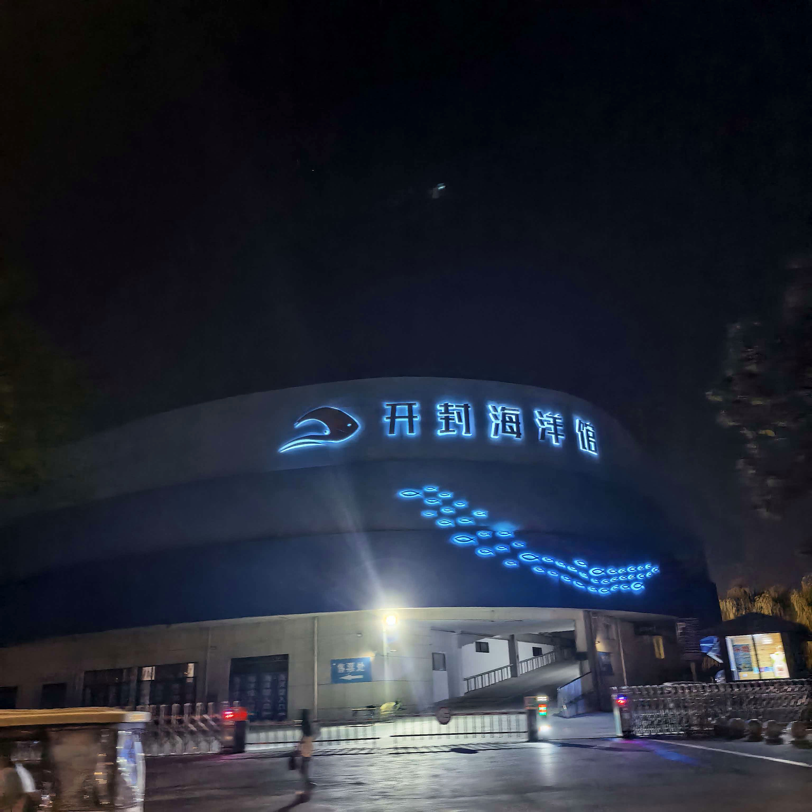 开封 海洋馆之夜
